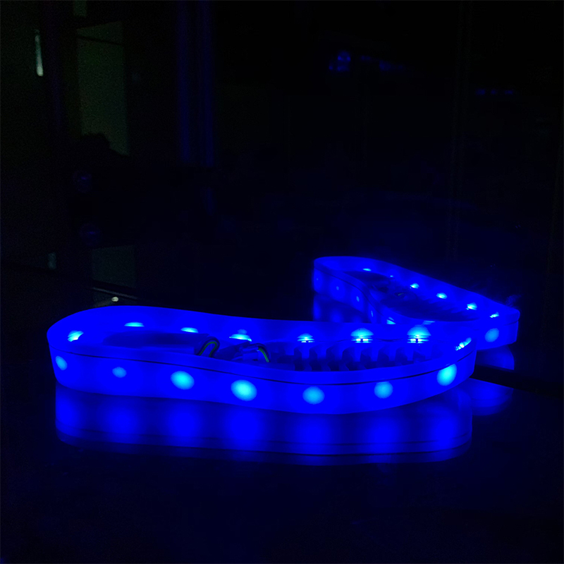 Shoe Lights, Clothing Lights, Research And Development, Production And Processing TLX2024002